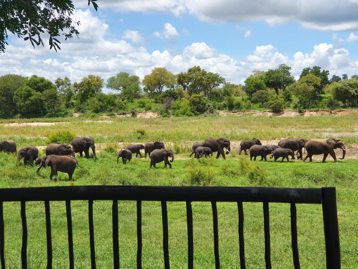 Umkumbe Safari Lodge Riverside Skukuza Eksteriør billede