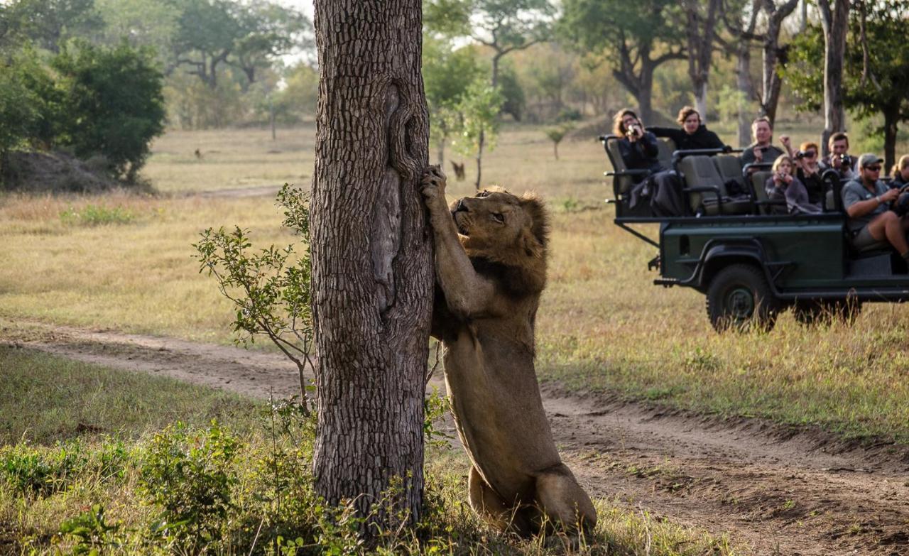 Umkumbe Safari Lodge Riverside Skukuza Eksteriør billede